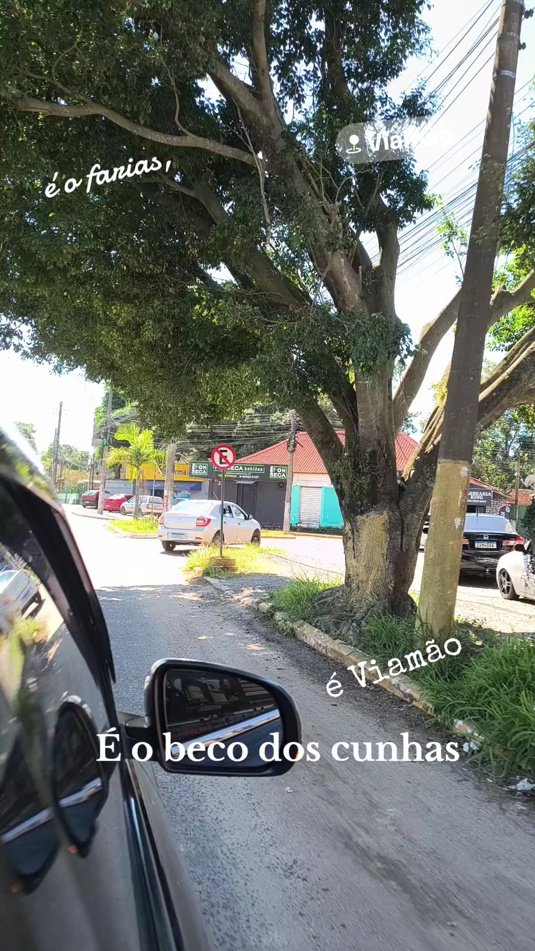 @Noninho Farias.