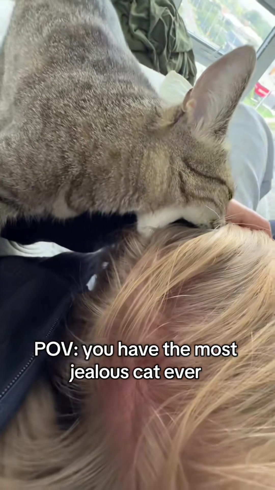 @cat moment