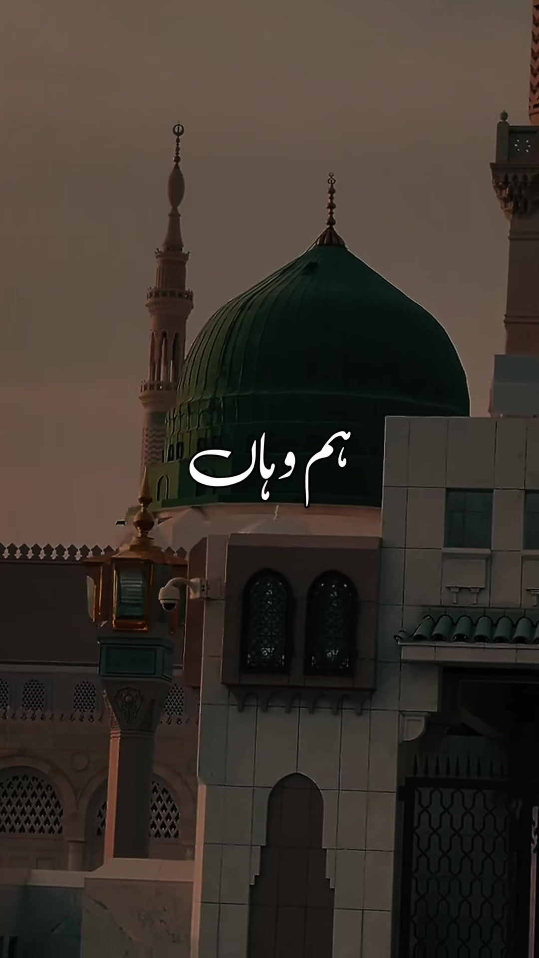 @❣️ Words of Allah ❣️