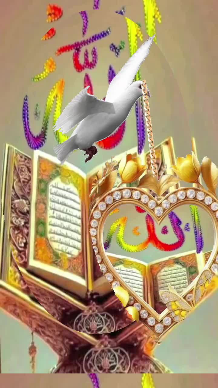 @Muhammad imran ๐ฆ
