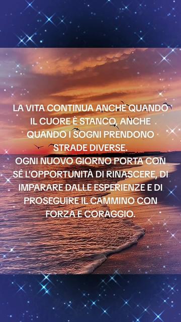 @dino606389