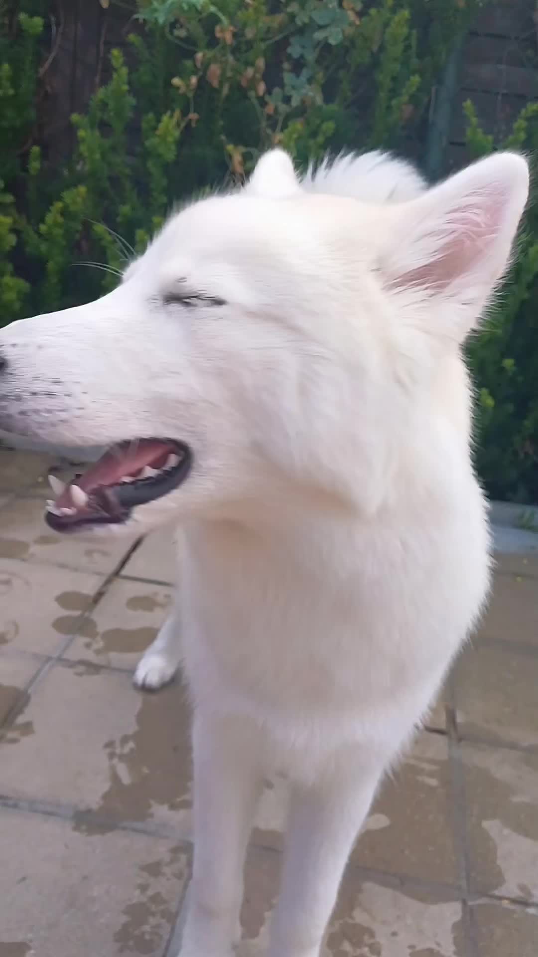 @๐ป๐๐๐๐โ๐