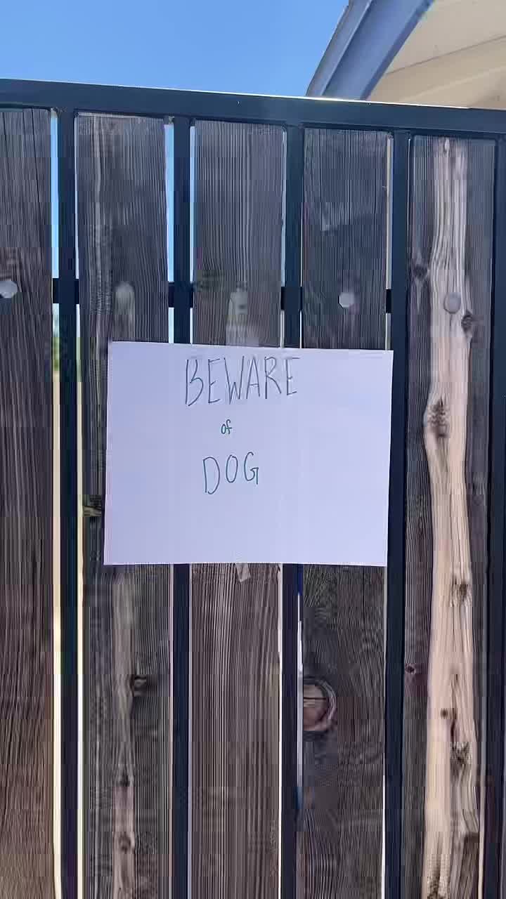 @Bandit The Husky