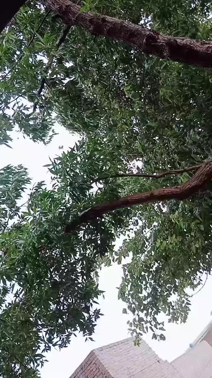 @Naلaiن Aوaنf