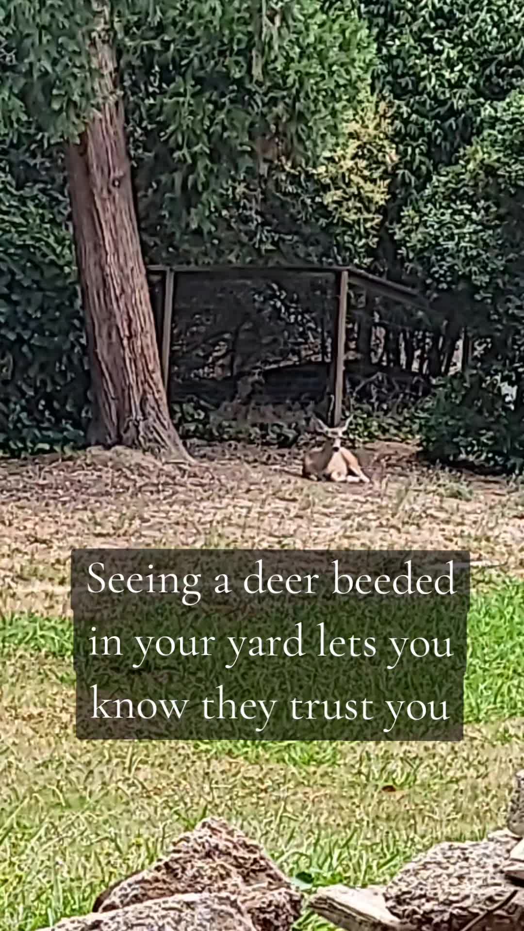 @Honeyyy🍯