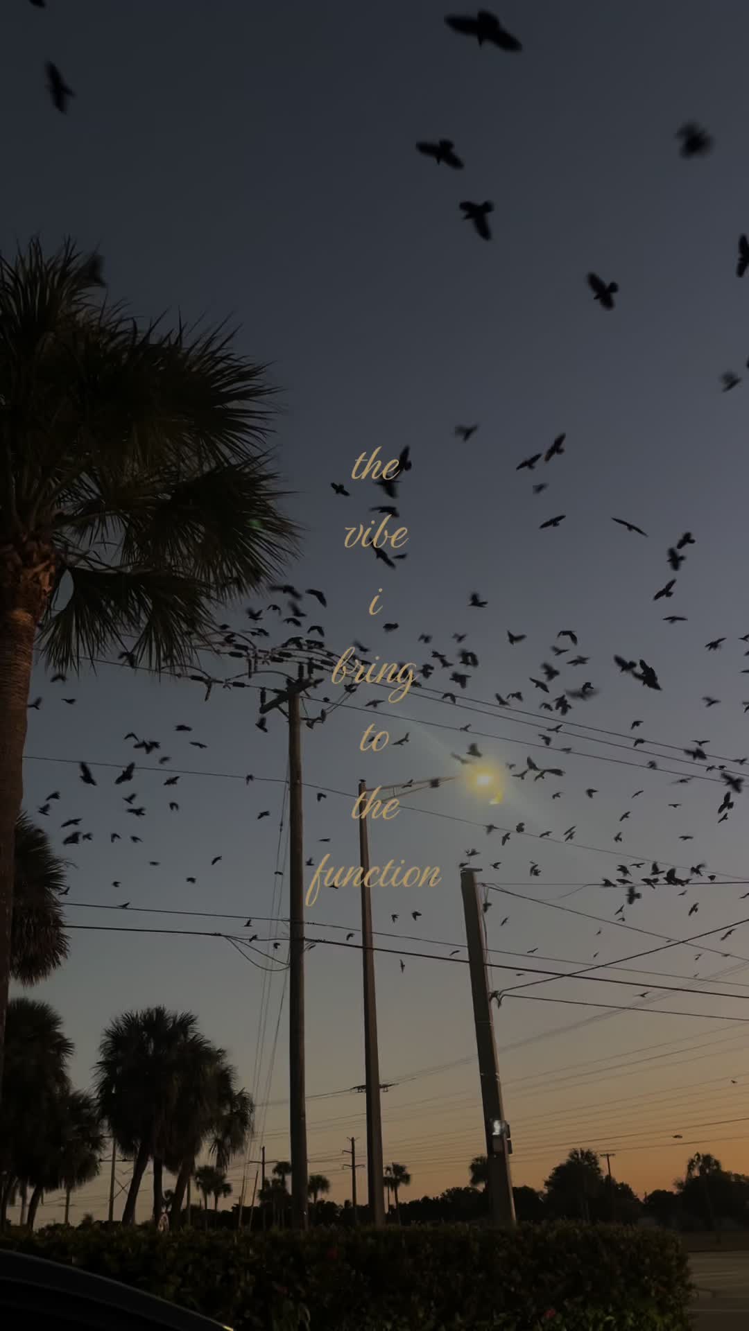 @misoo💫🌙