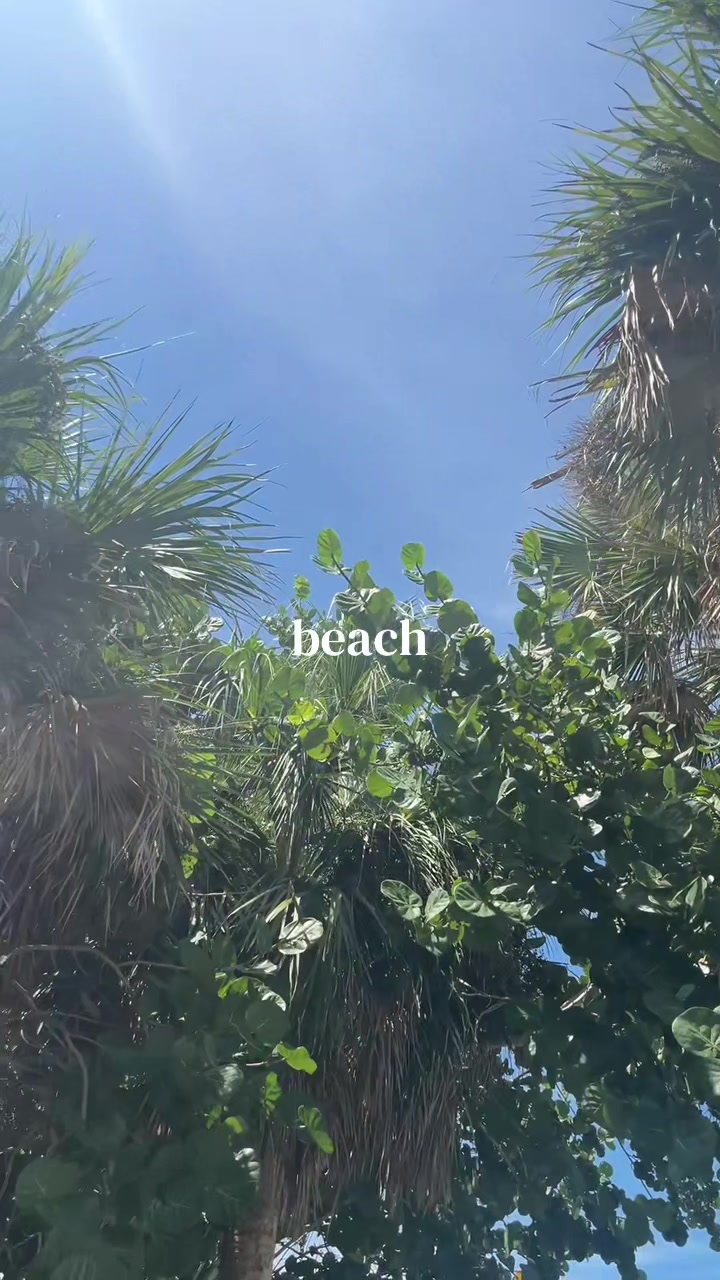 @Anna 🐚