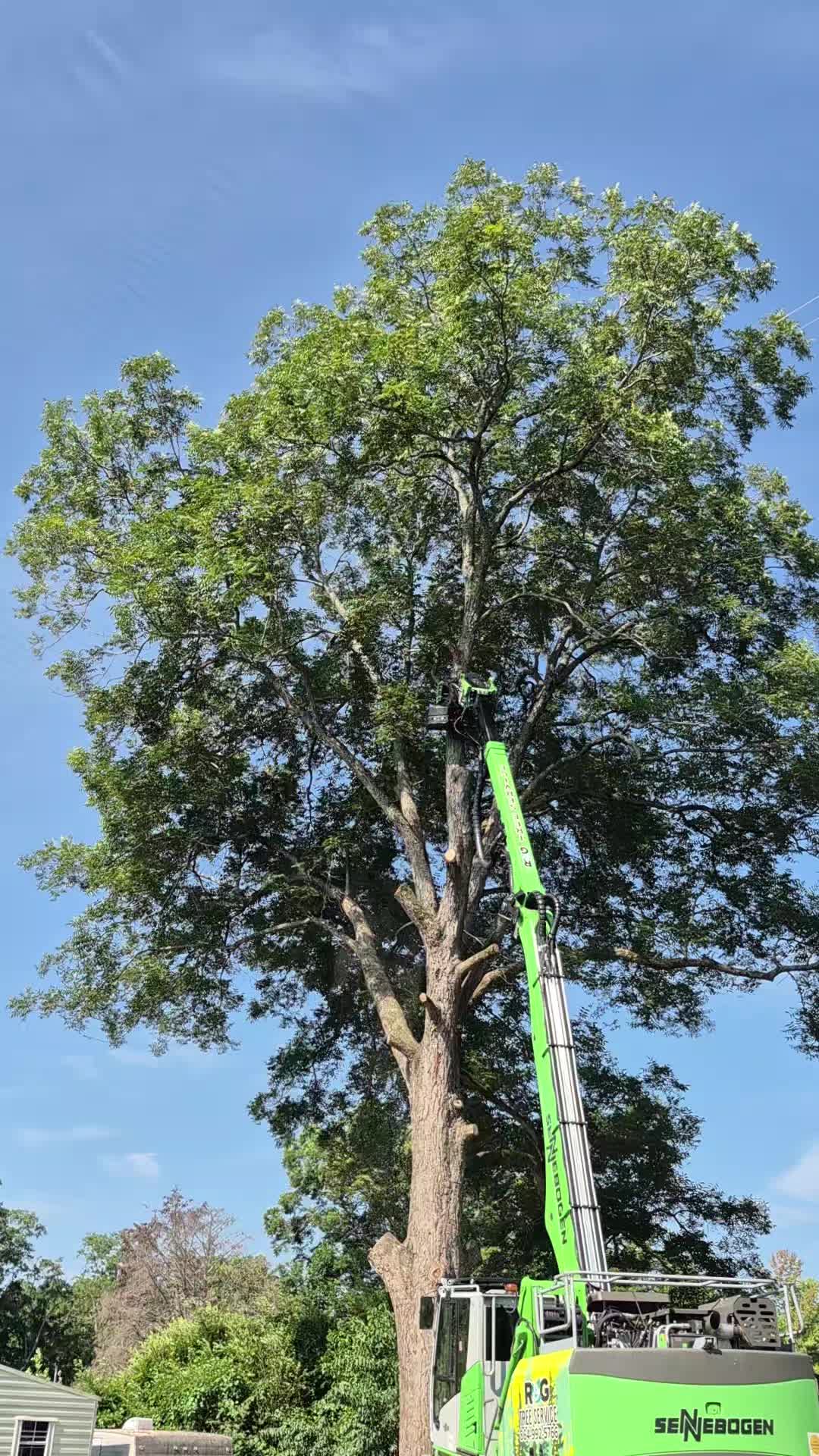 @R&G tree and landscaping