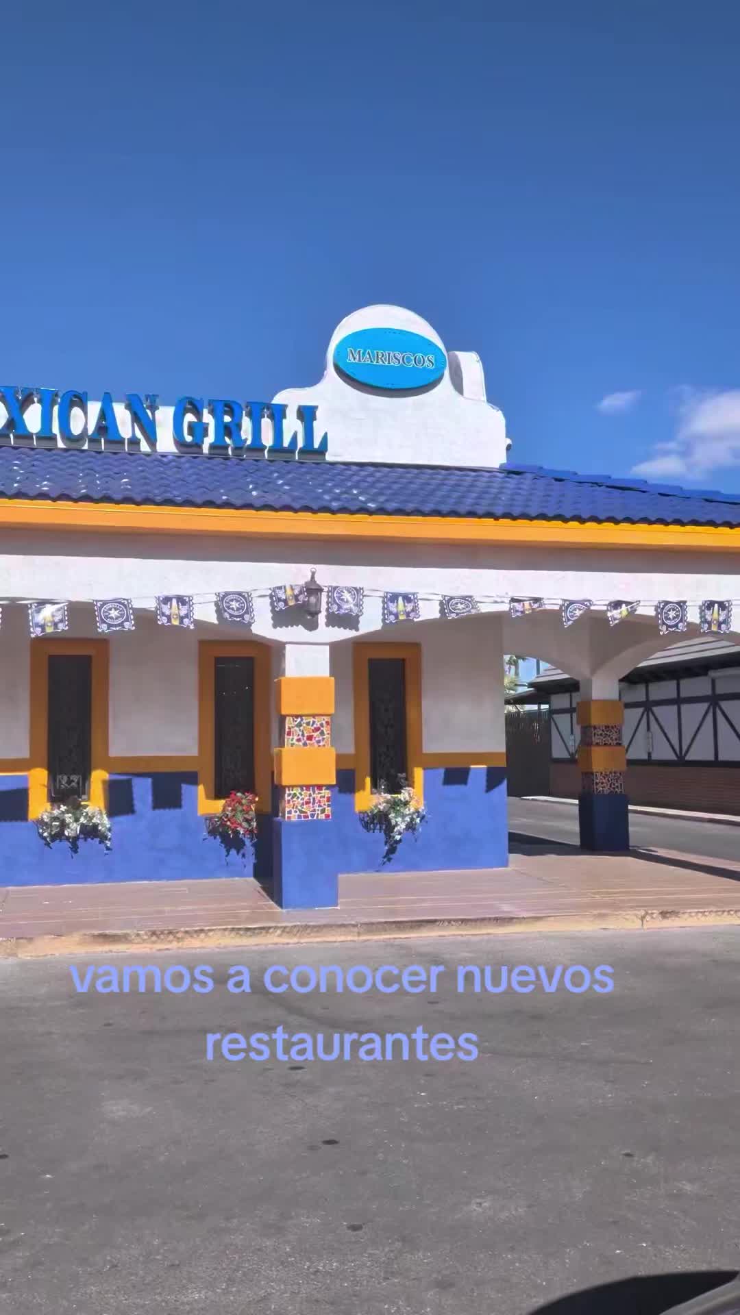 @francisca gallardo