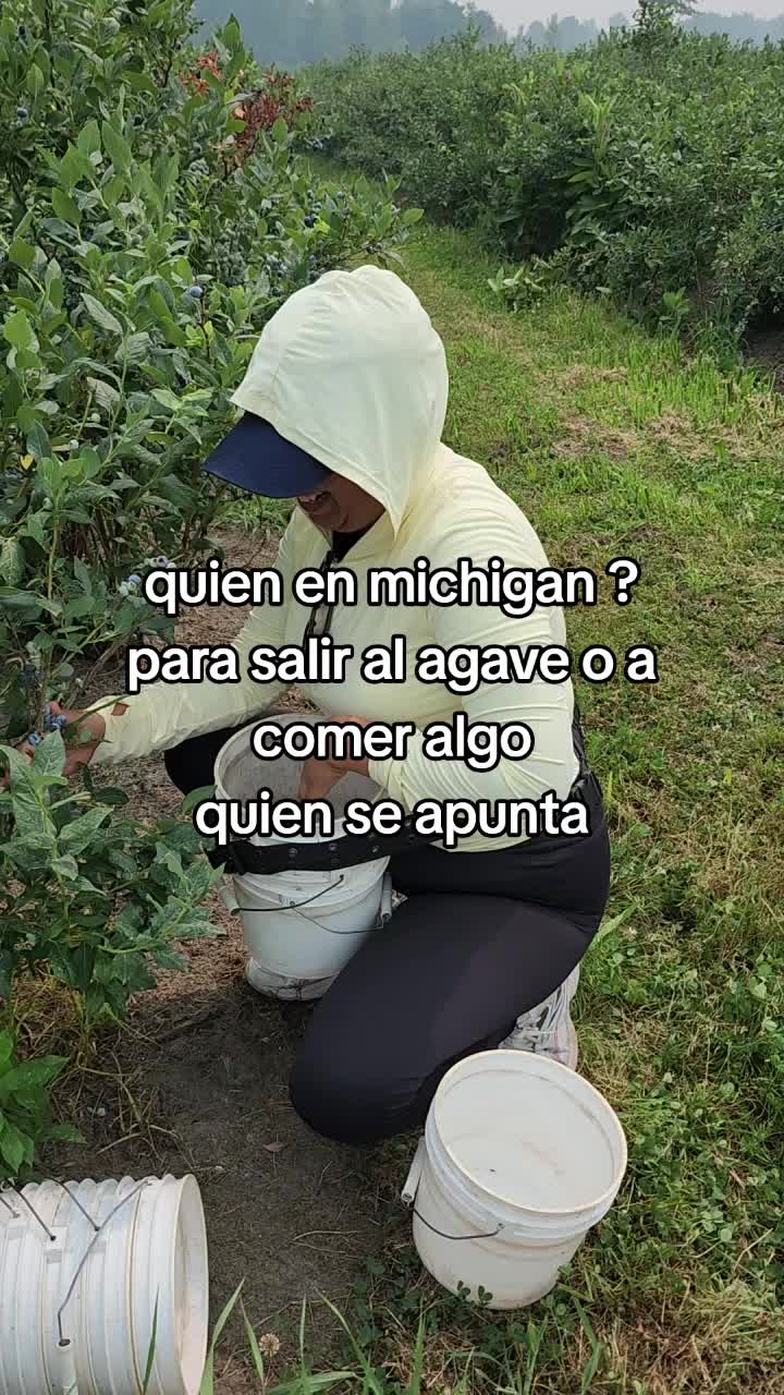 @mini mi