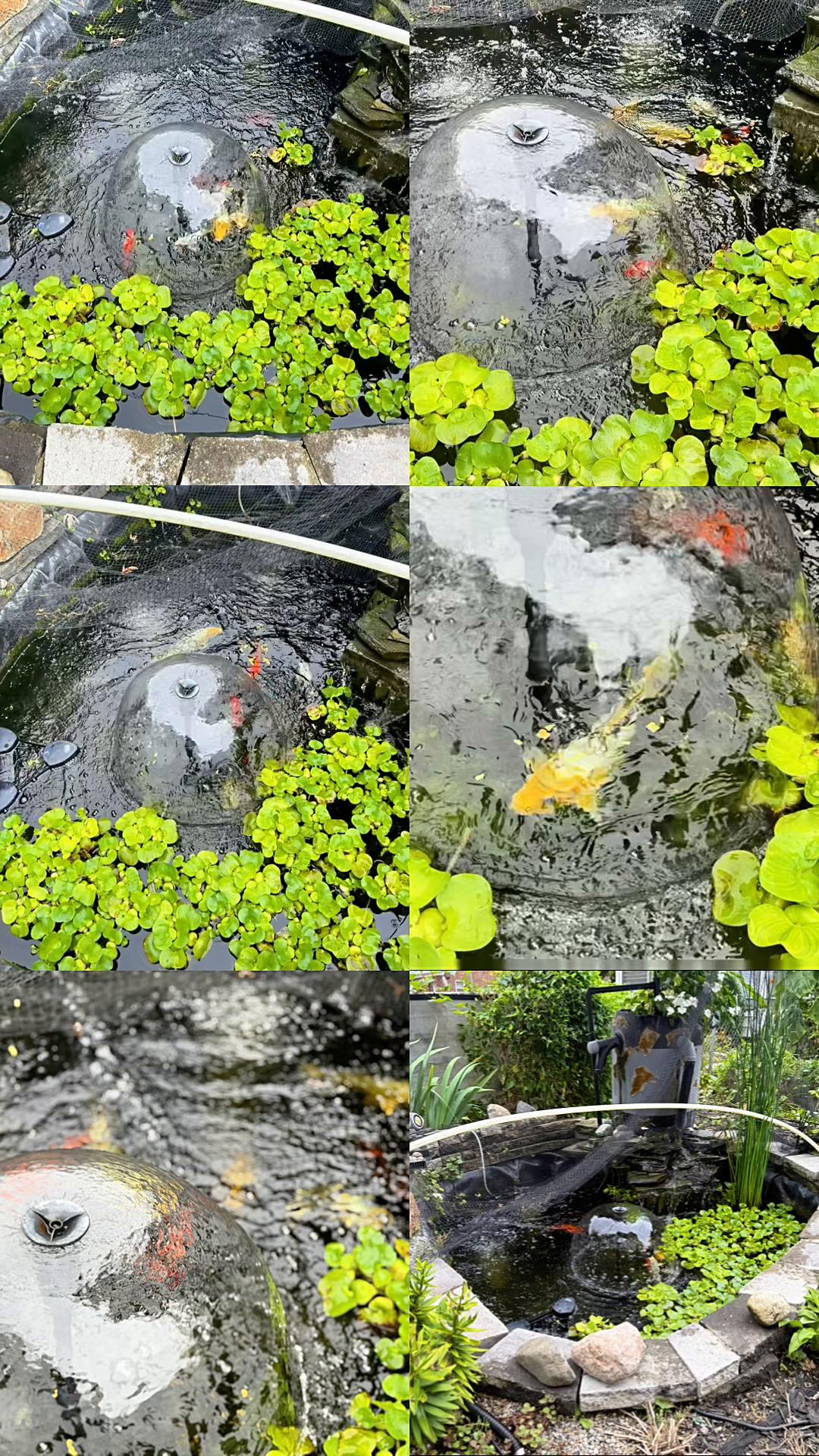 @DirtyGloveGardening👨🏾&zwj;🌾