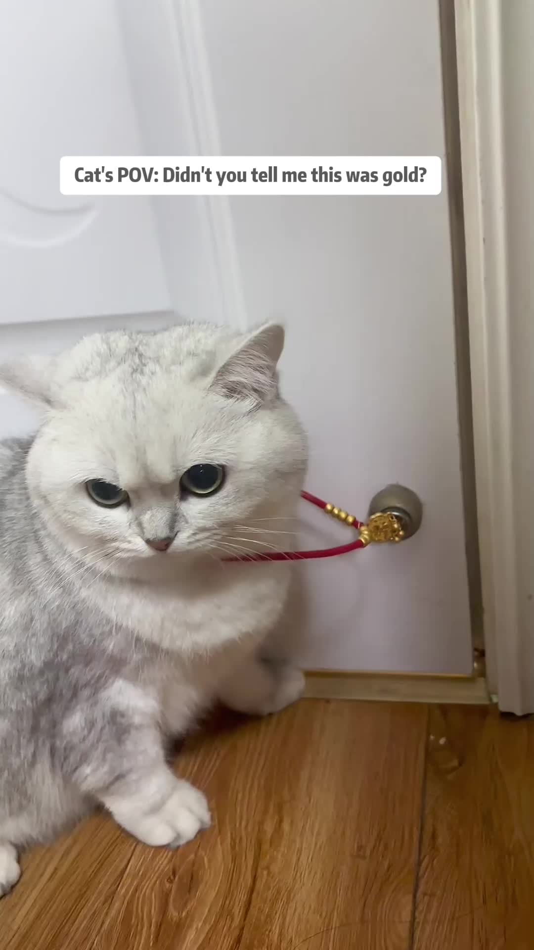 @MoewaiiCat