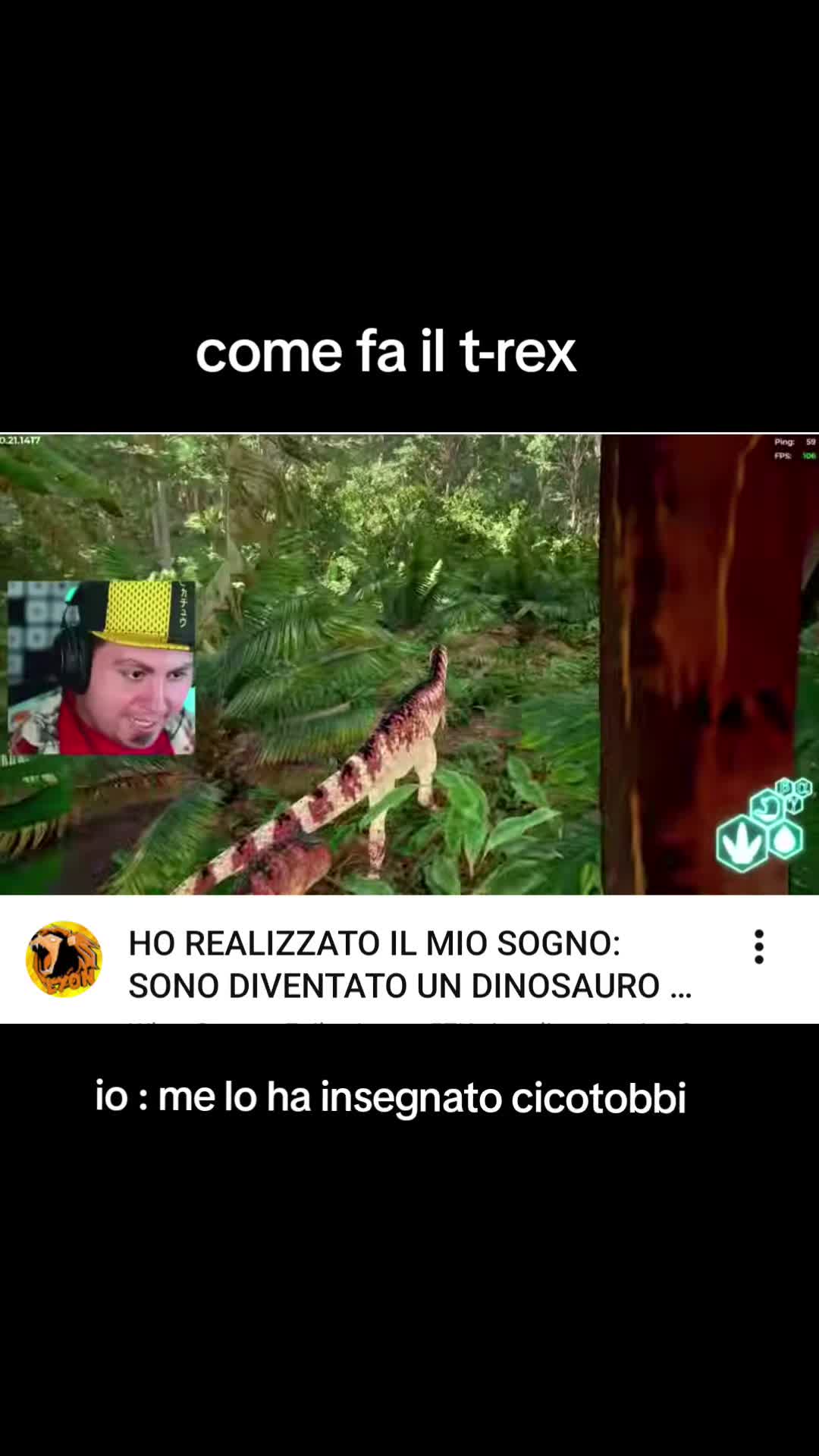 @wgfkid