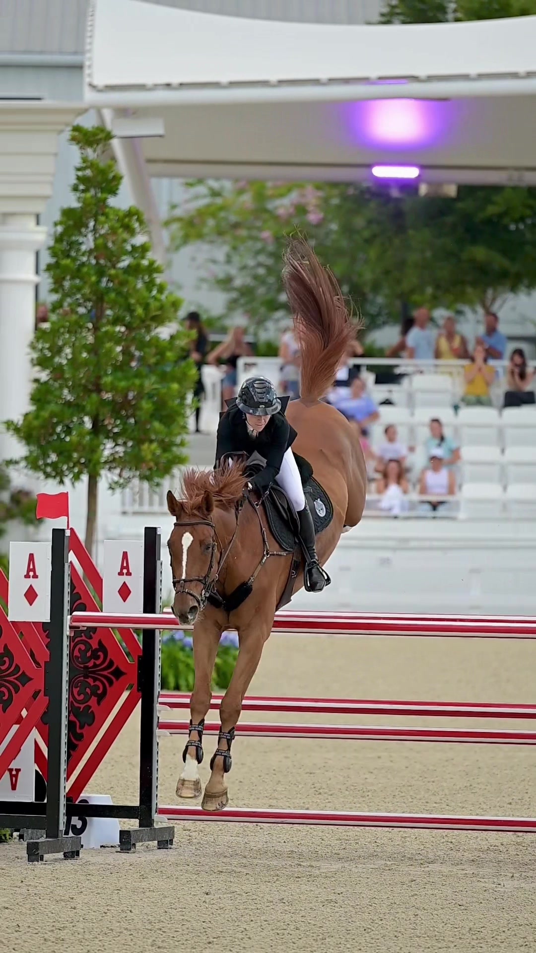 @Free Ride Equestrian
