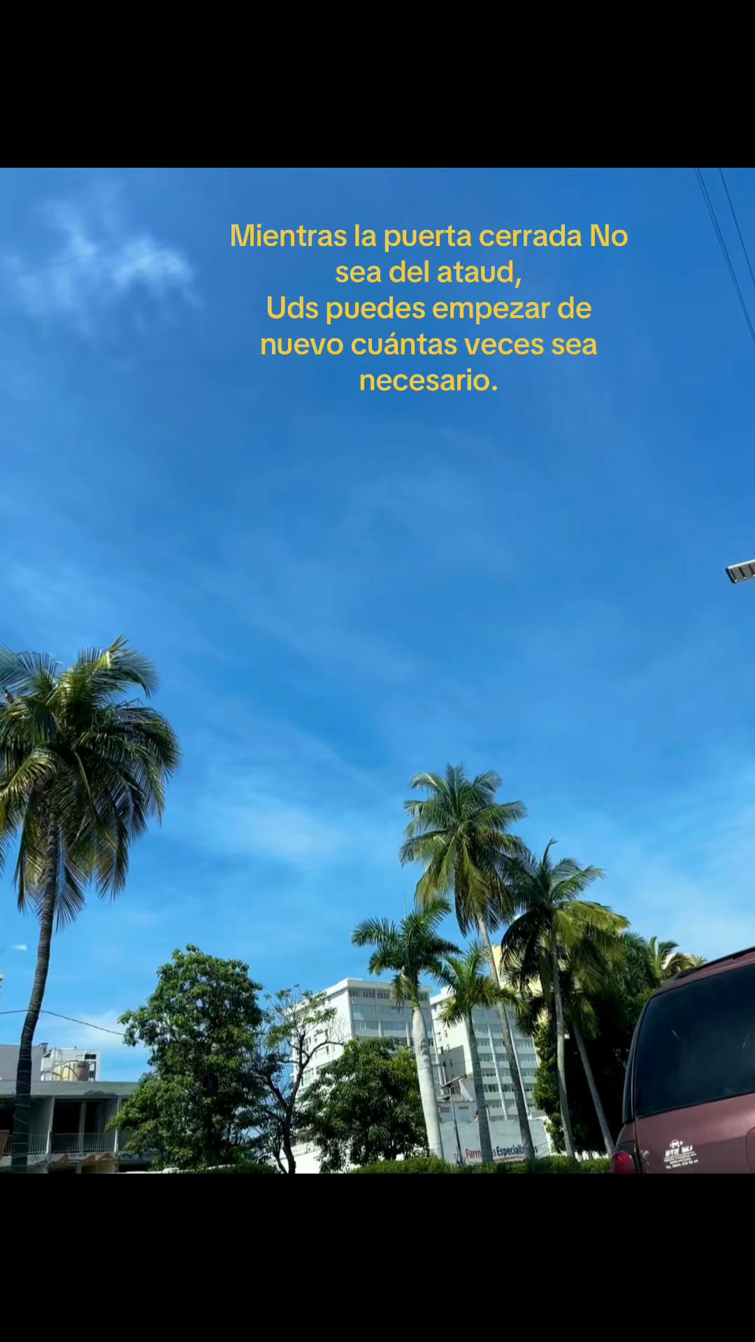 @DenssS🏋🏽♀️