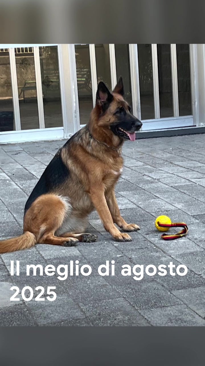 @luigibracciante