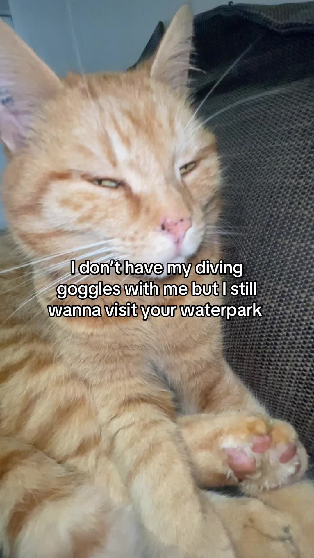 @Simba
