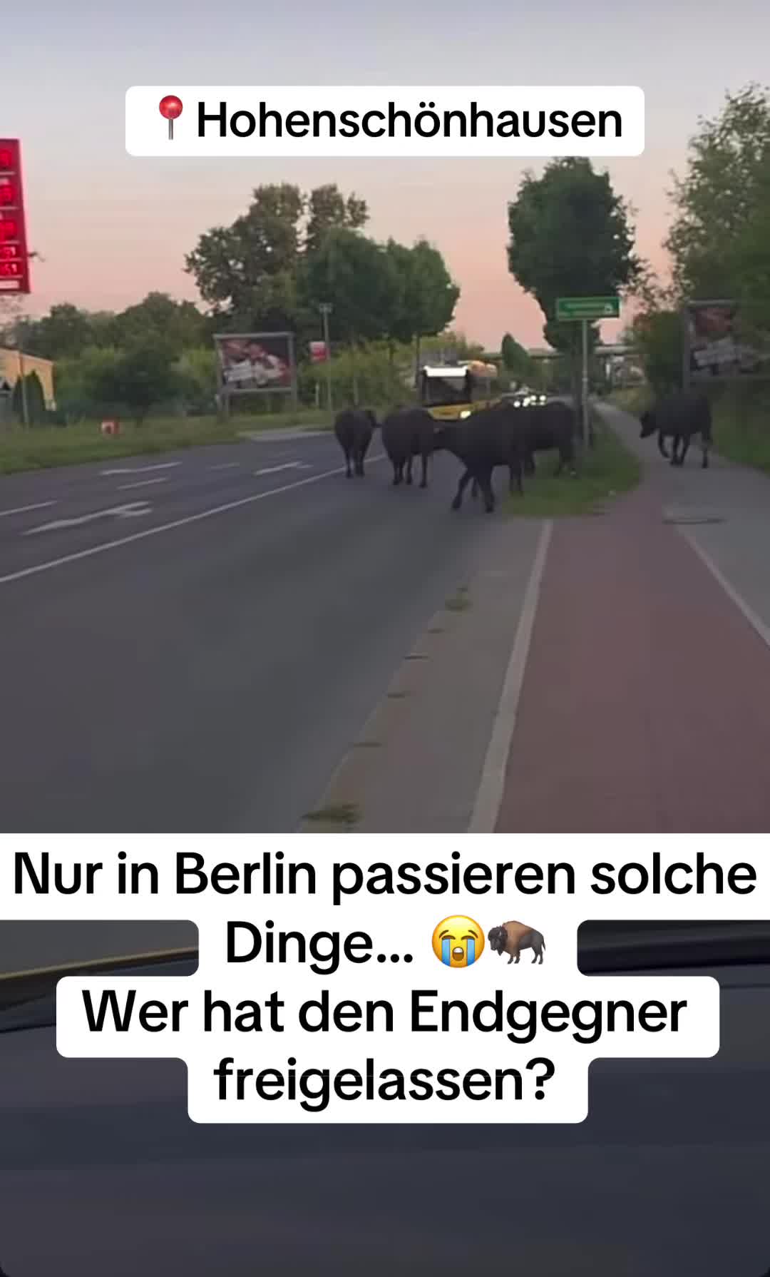 @🚨 BerlinEinsatz