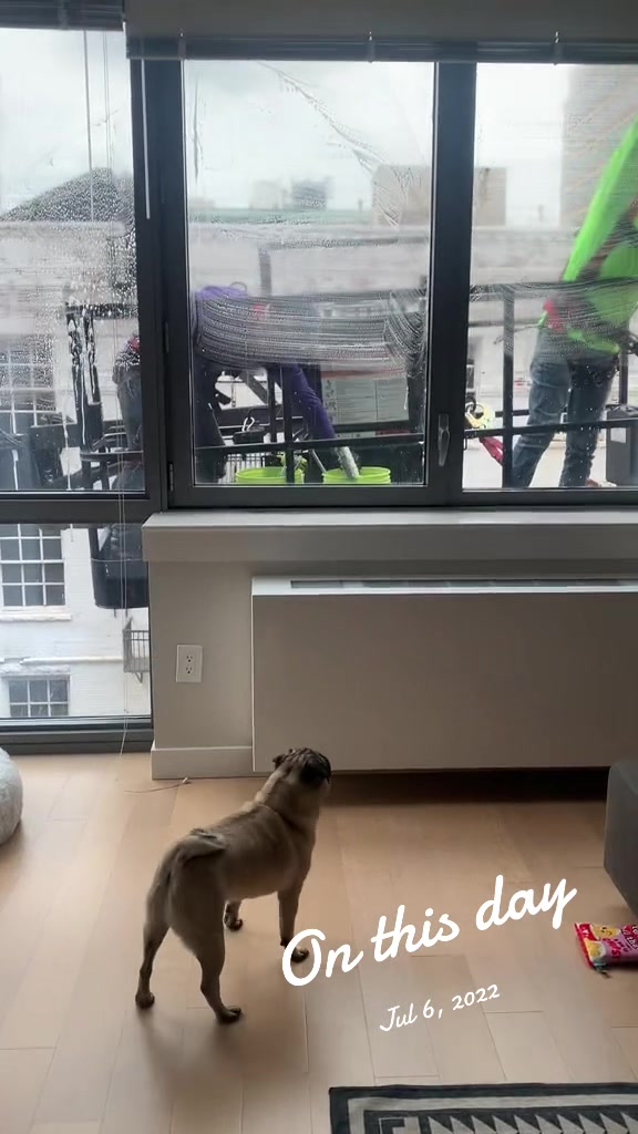 @thepugfang