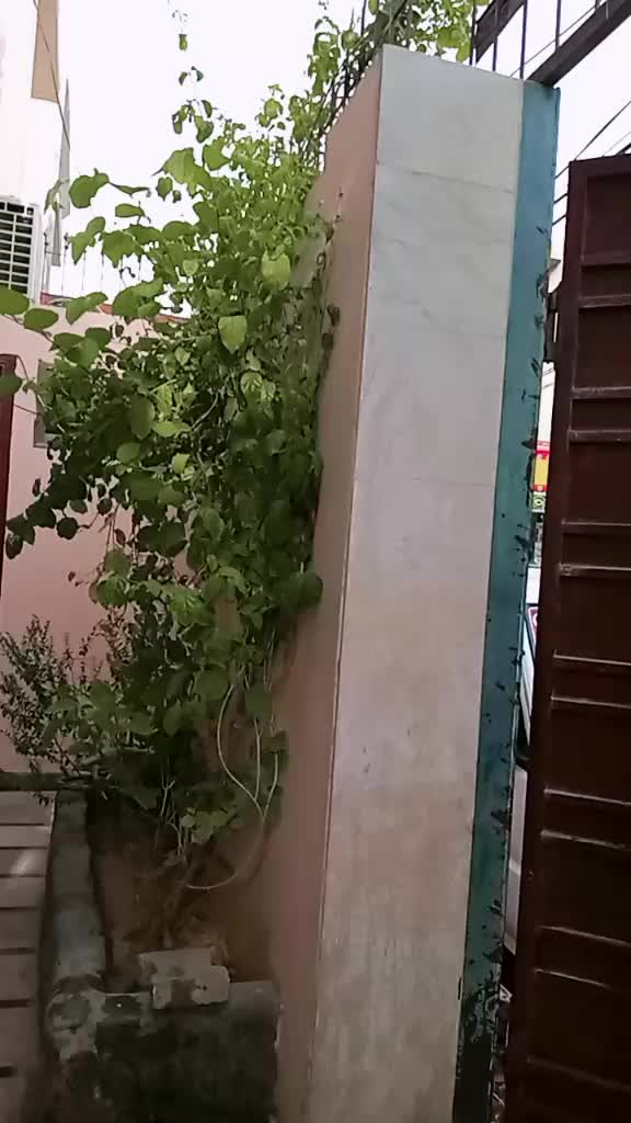 @khudgarz