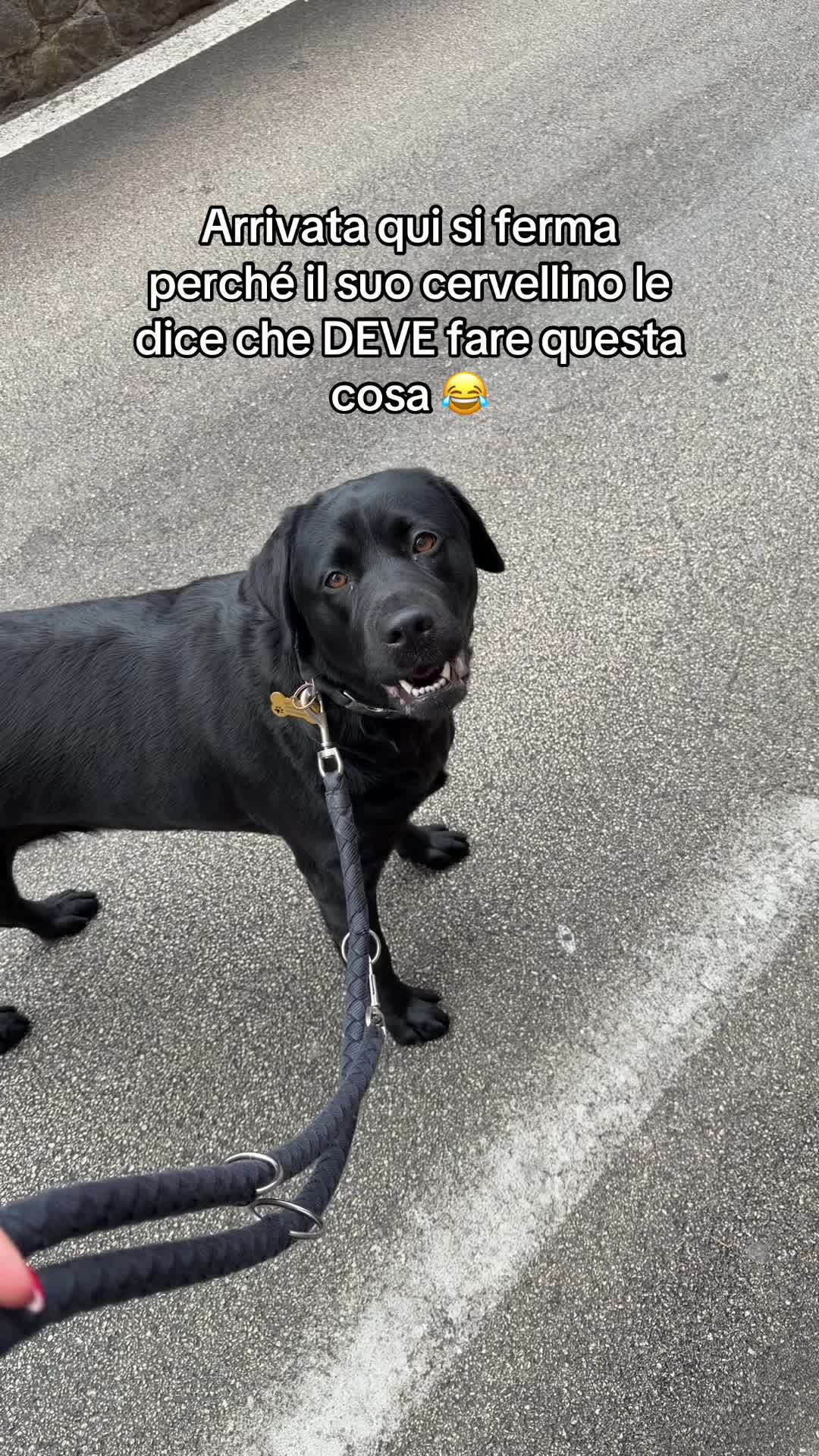 @Cloe e sabry🖤🐾