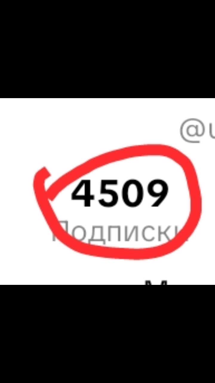 @Фокси1337