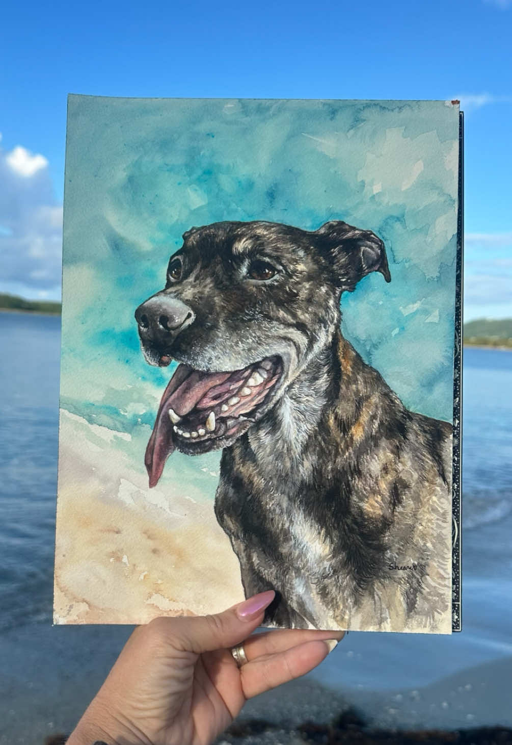 @Pet Portrait Artist