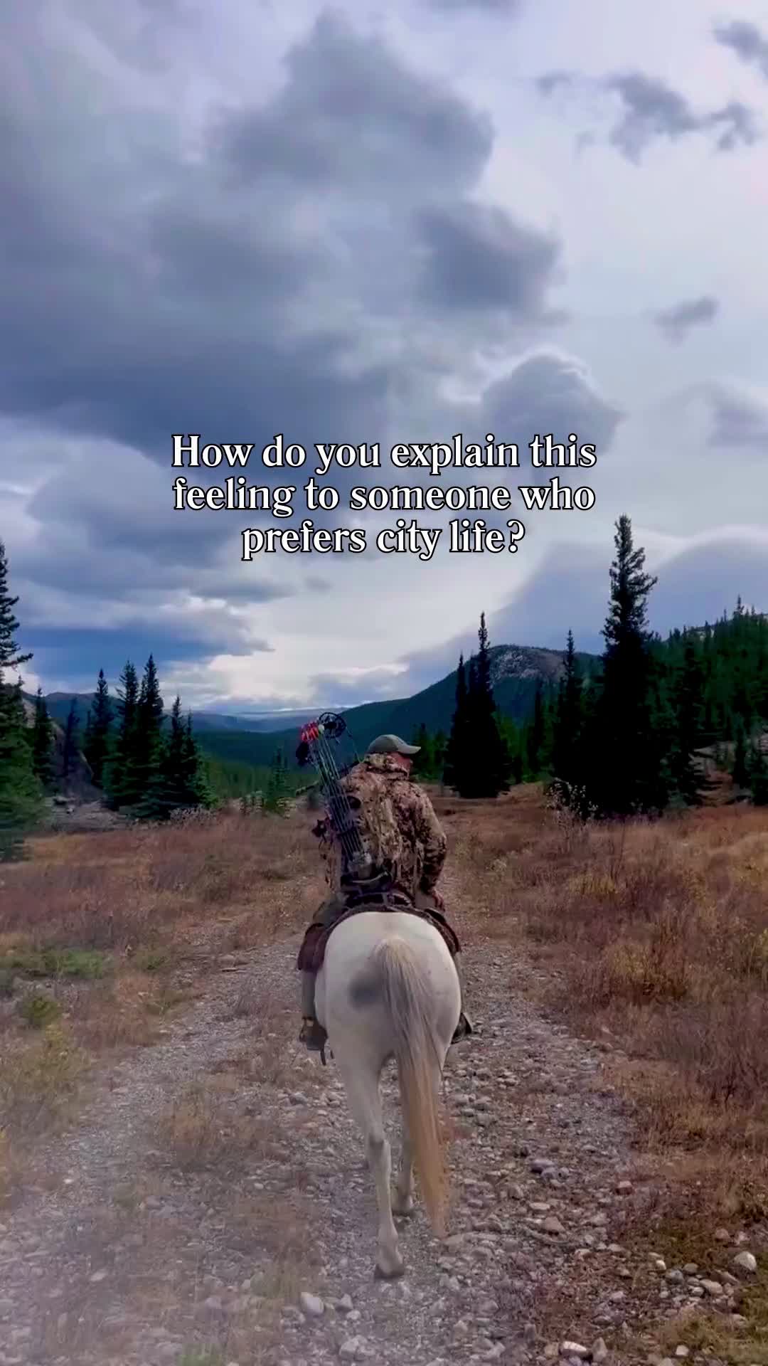 @montanamattproperties