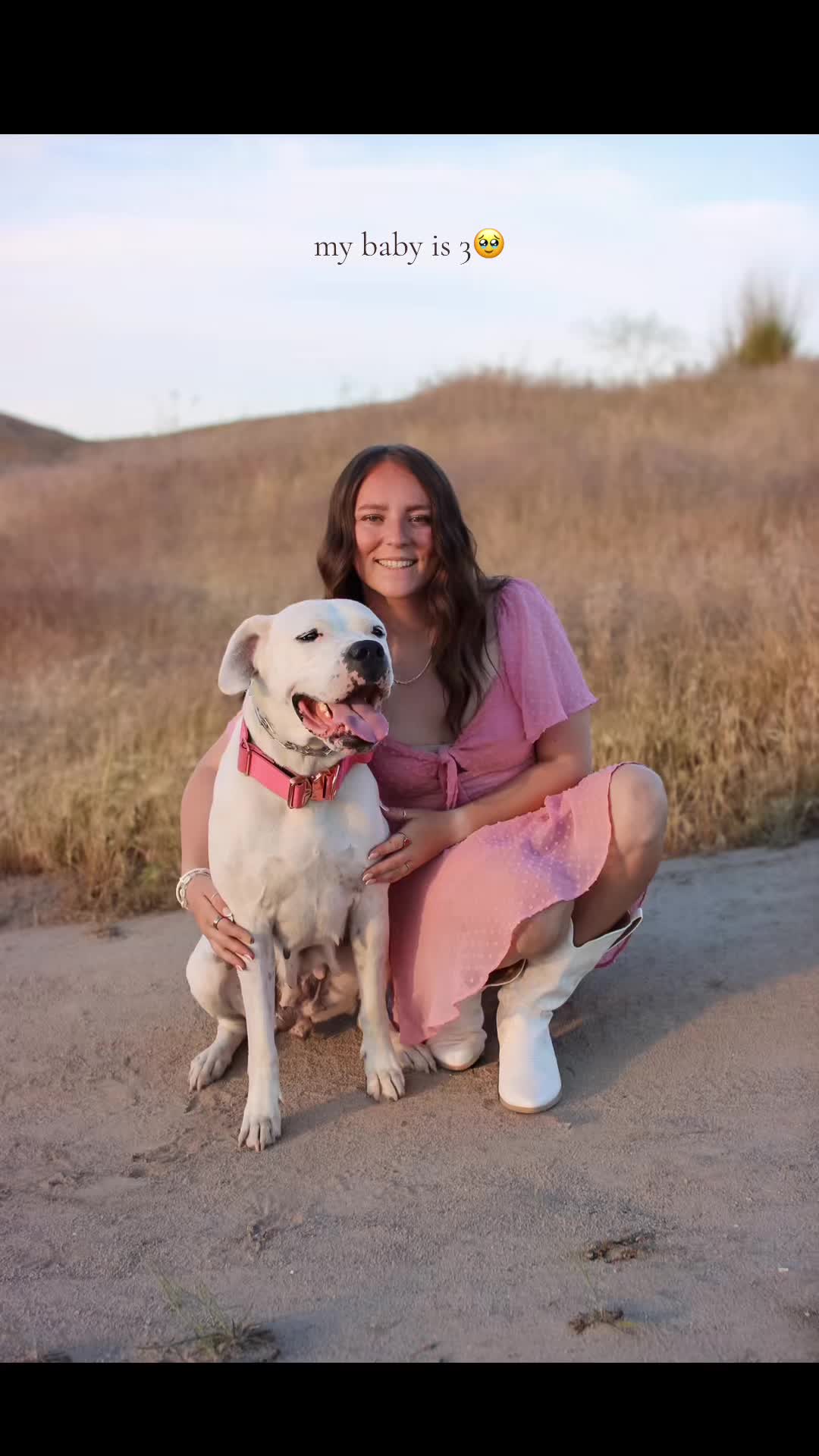 @Dogos of Idaho