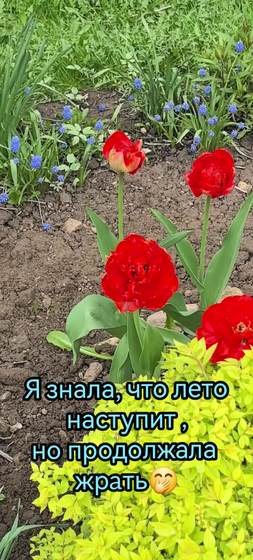 @Деловуха-ха