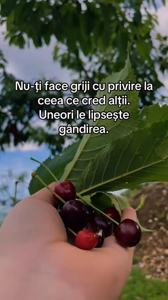 @geanina_94