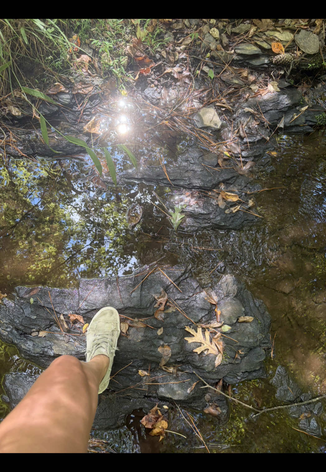 @Native Alabama