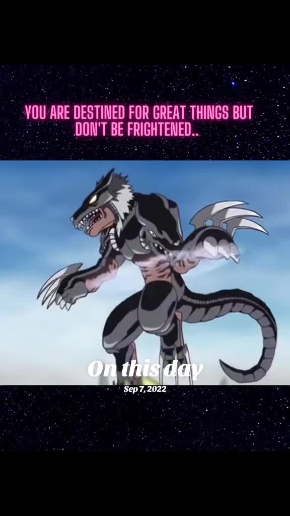 @sirdavidthekillerbee