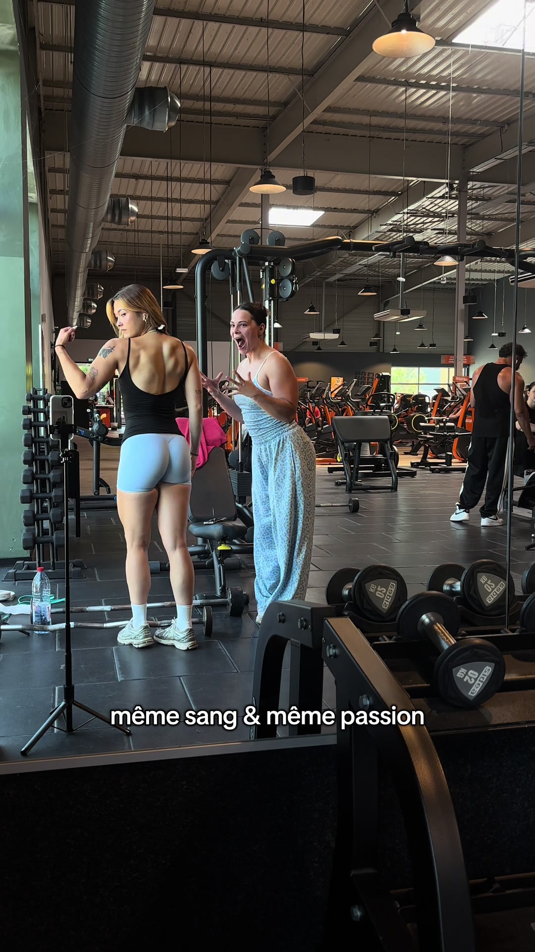@kyo