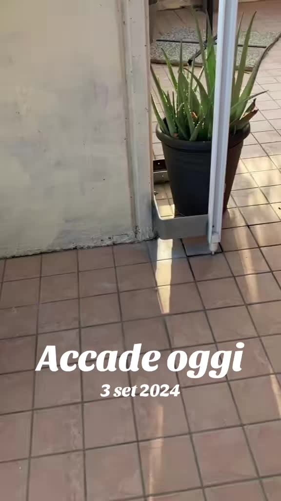 @Manumanufrau66