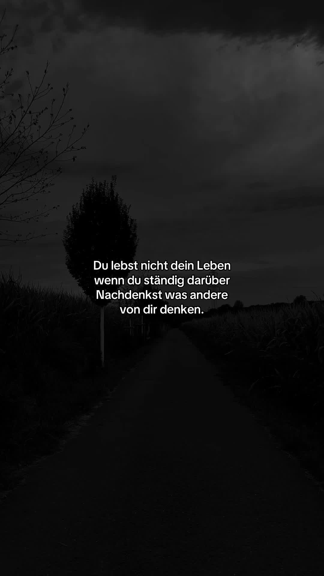 @_xmr.tx_