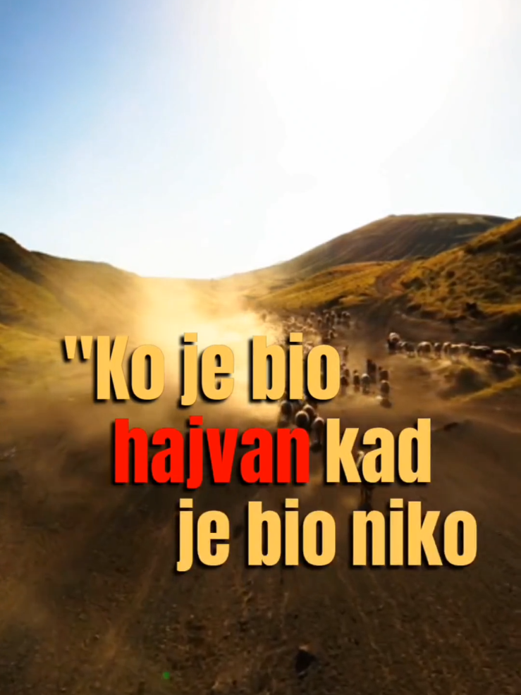 @Hadžibeg