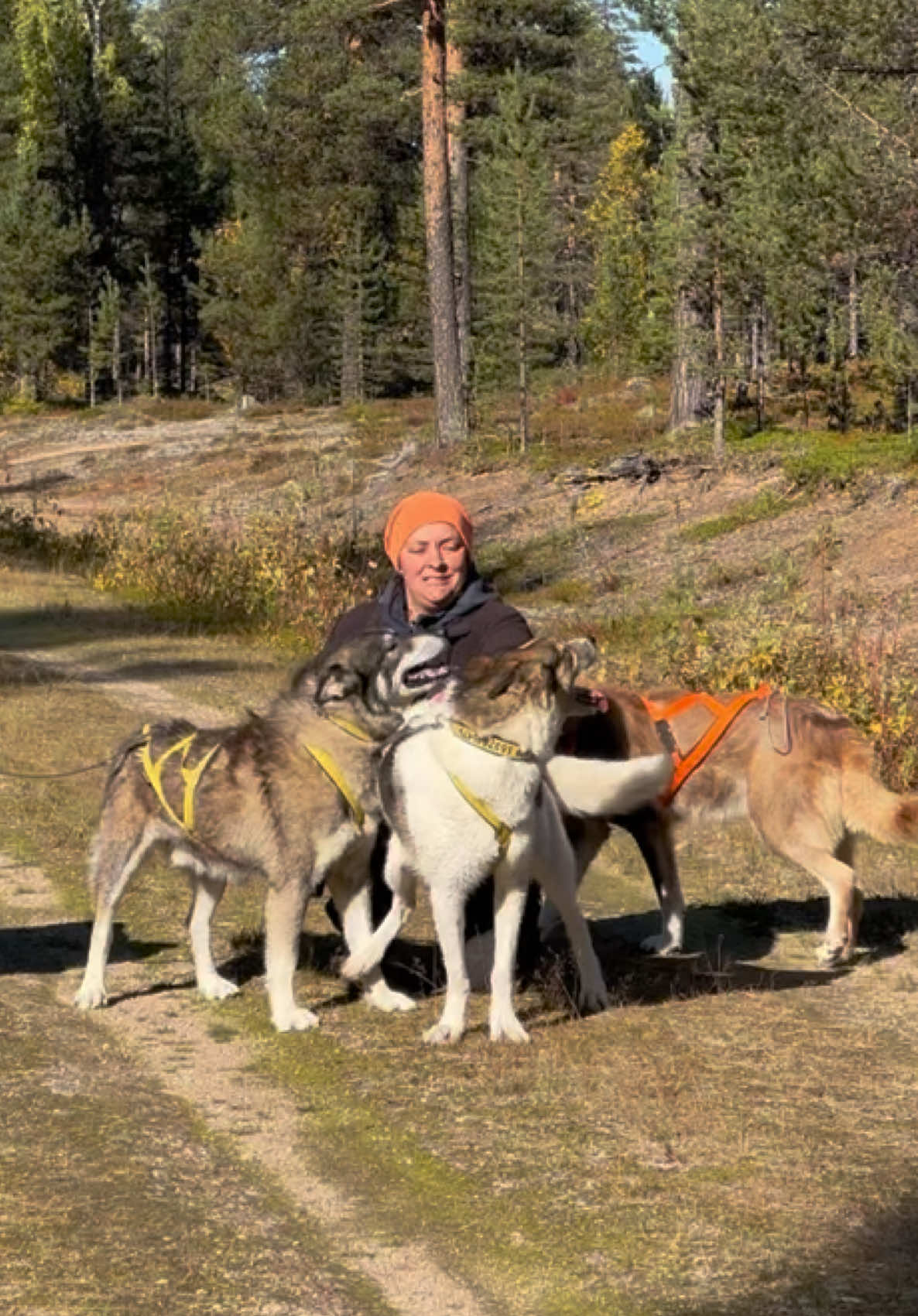 @Mehrere Hunde, ein Team!