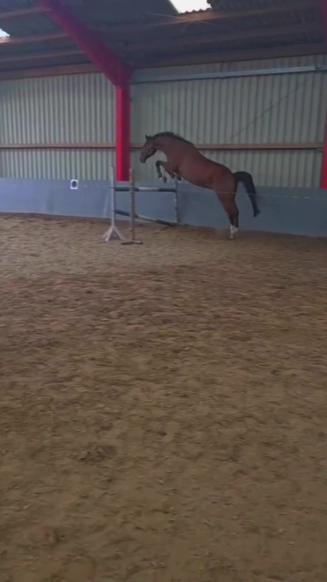 @laura_equestrian25