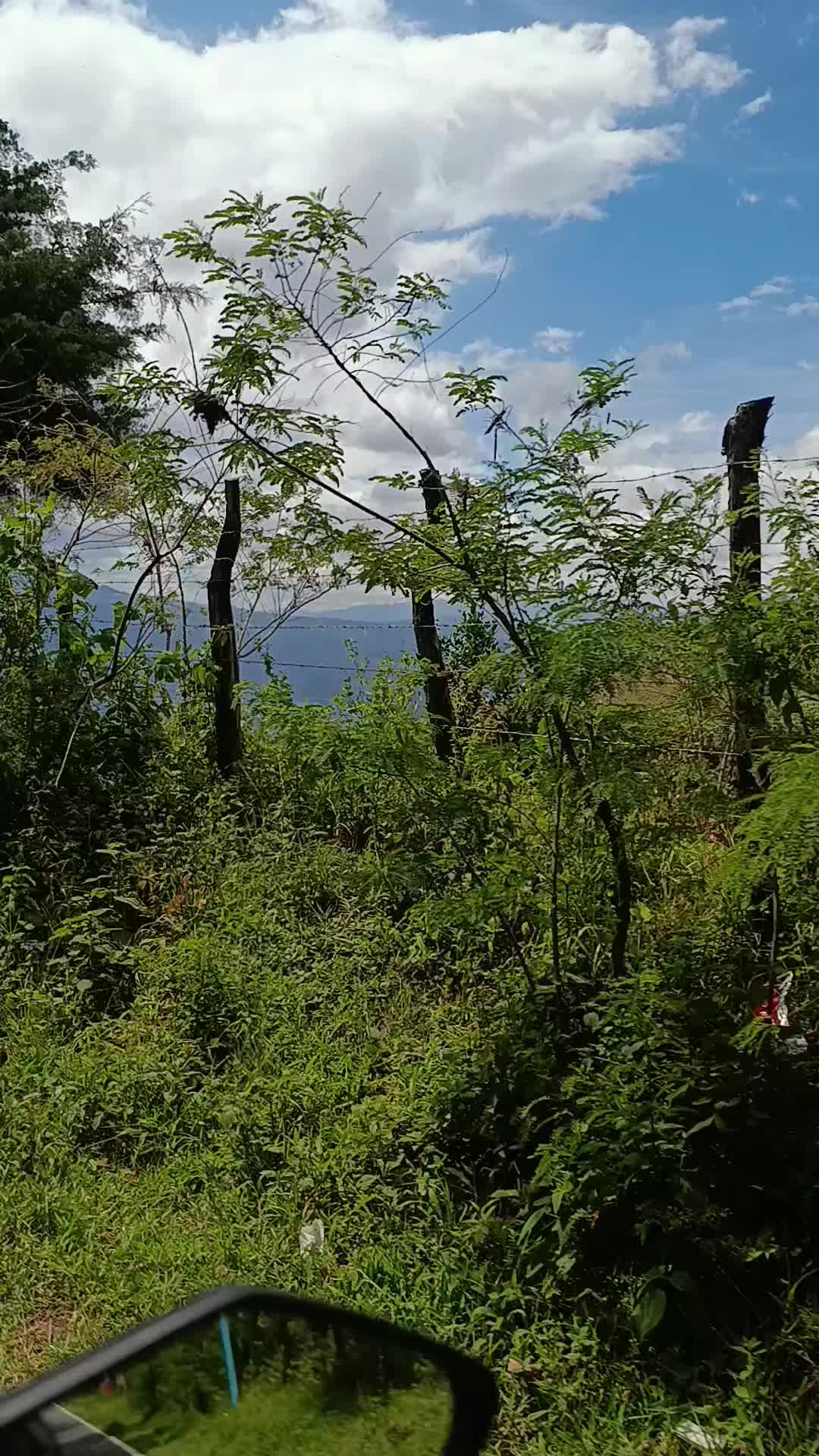 @F&Eacute;NIX🇬🇹🔱🏍️🥷🇬🇹