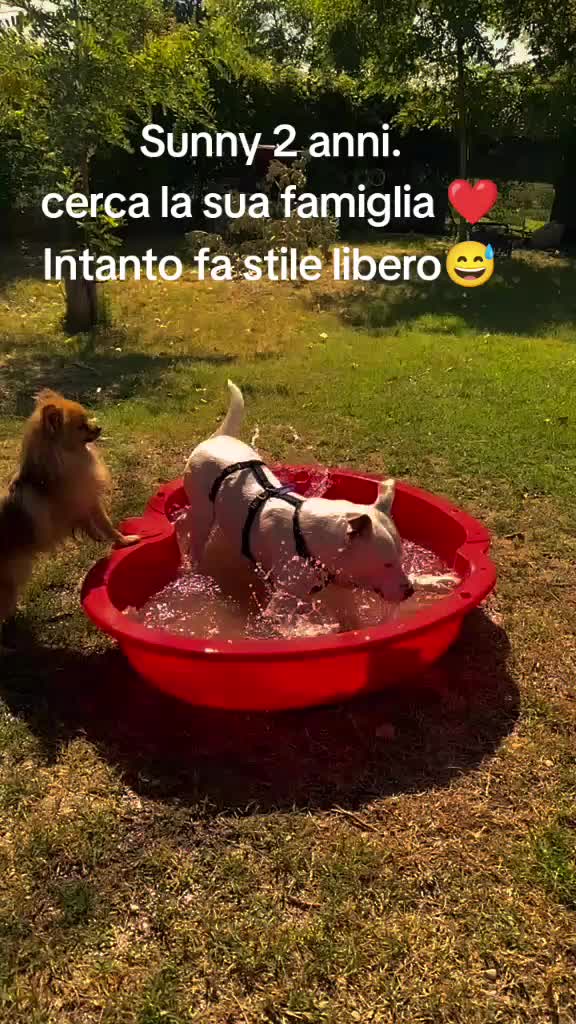 @code felici
