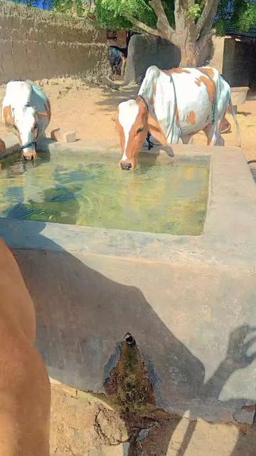 @MOlai Waheed Ali rajper 786