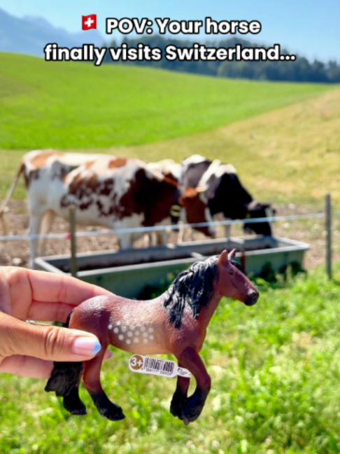 @Schleich Horse Club