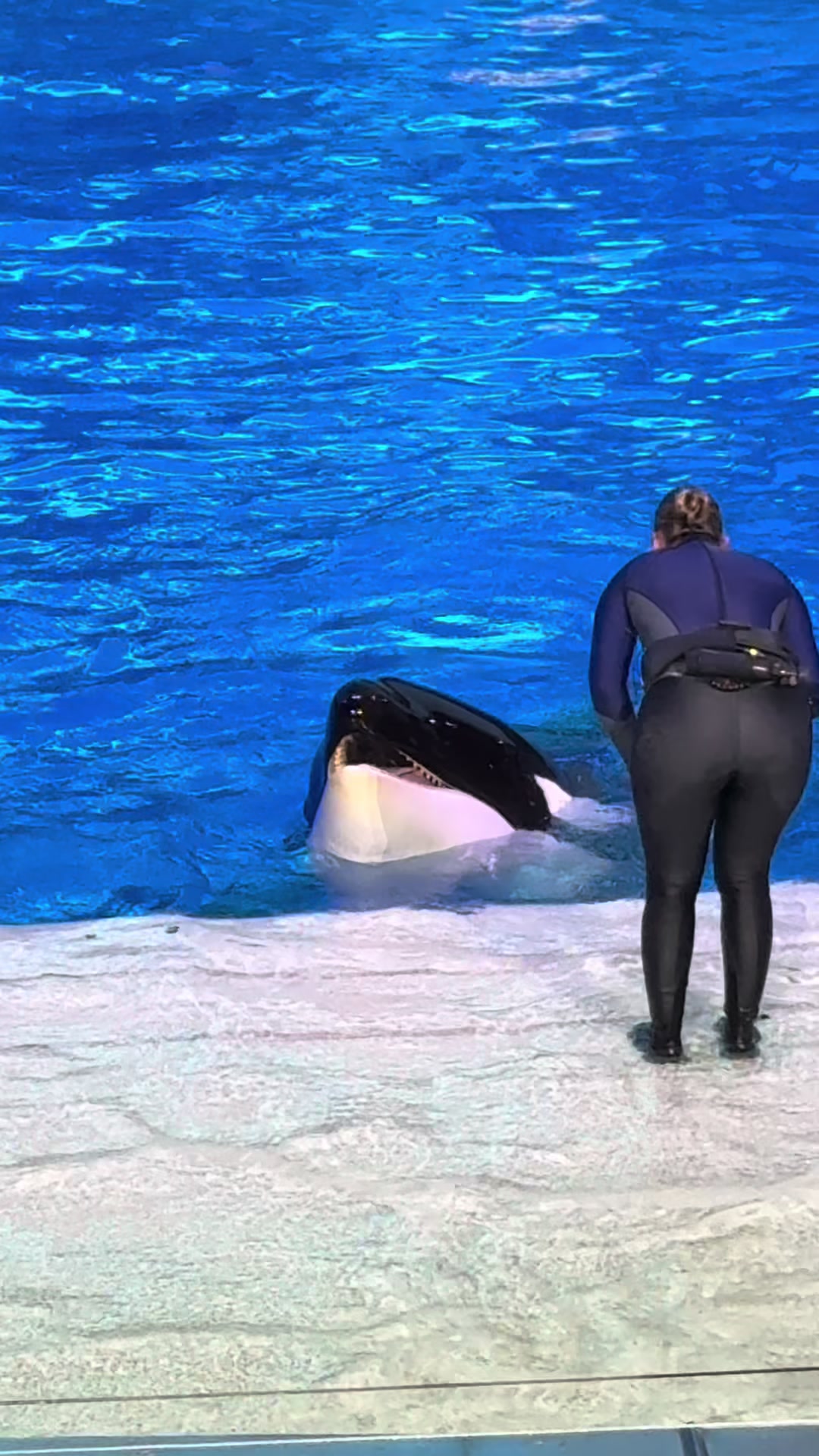 @OlivierSeaworld