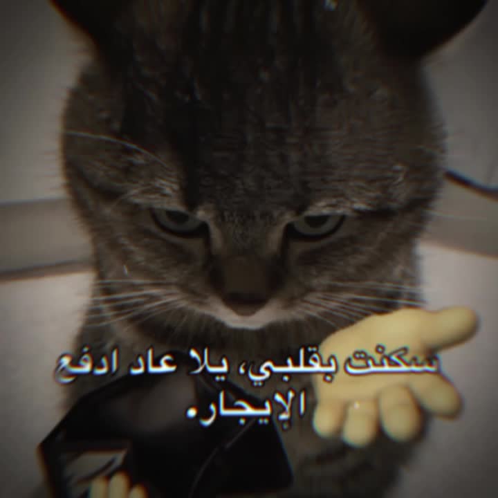 @جوجو| 𝐉𝐨𝐣𝐨 𐙚 ~