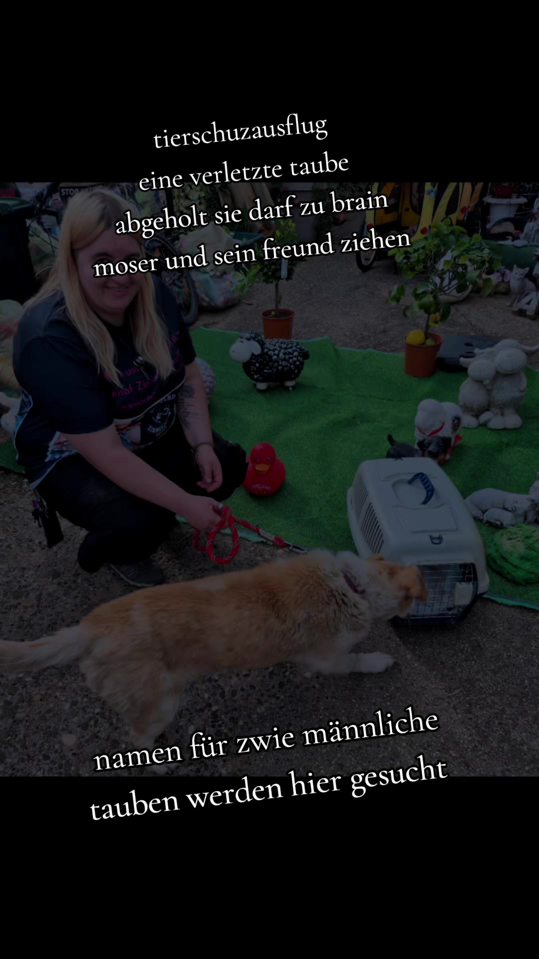 @Gnadenhof Zimmermann-Hesse