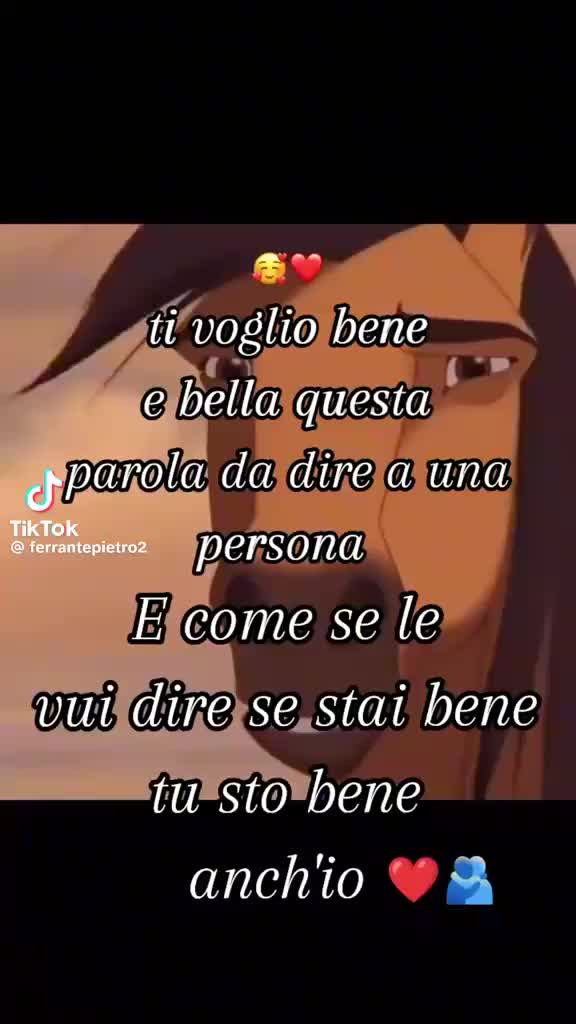 @sconosciuta 91