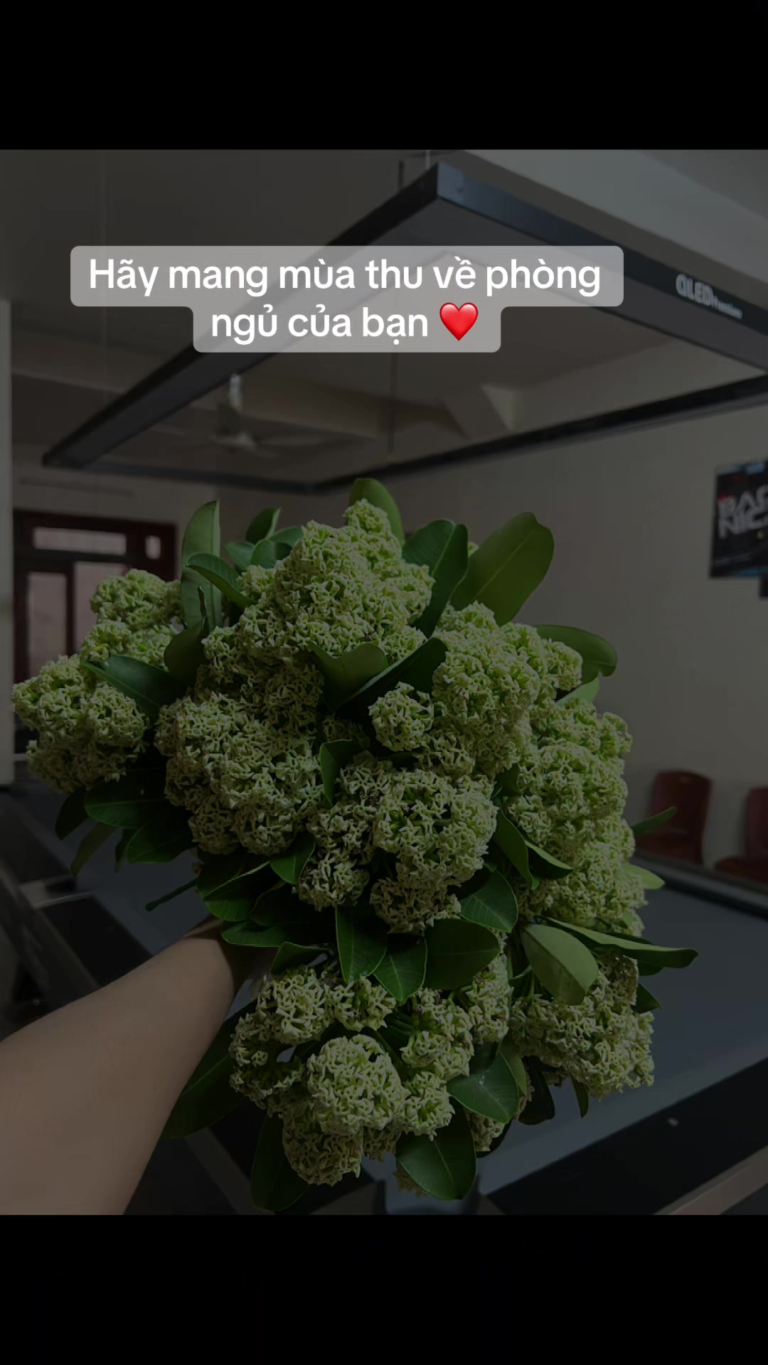 @Duy&ecirc;n Nguyễn