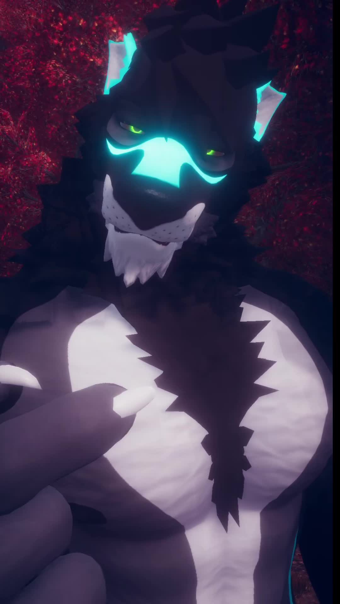 @DraftStallion