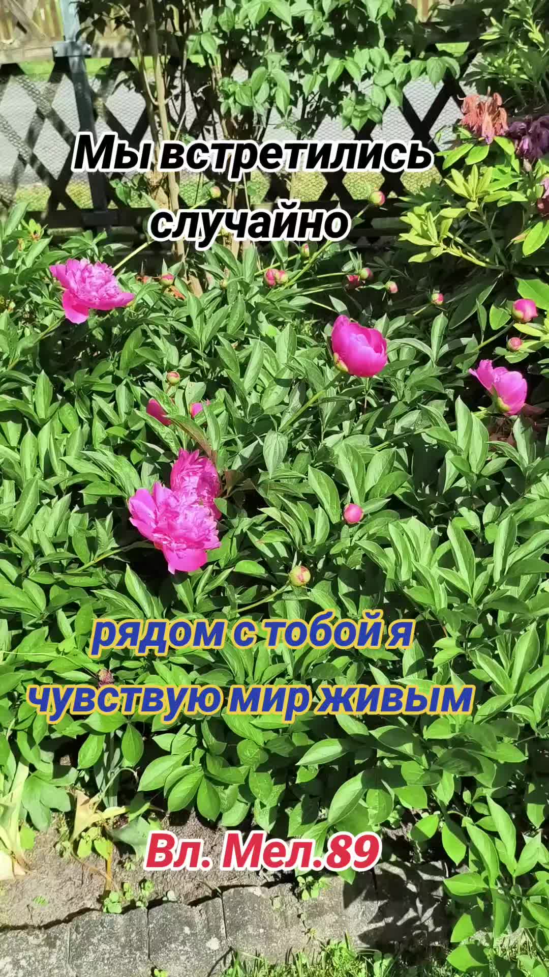 @Вл. Мел. 89